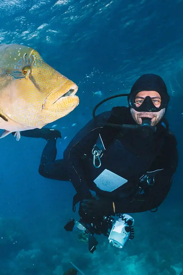 underwater-photographer-pose-close-to-a-maori-wras-2023-11-27-04-54-01-utc_result